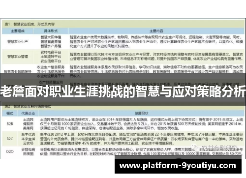 老詹面对职业生涯挑战的智慧与应对策略分析