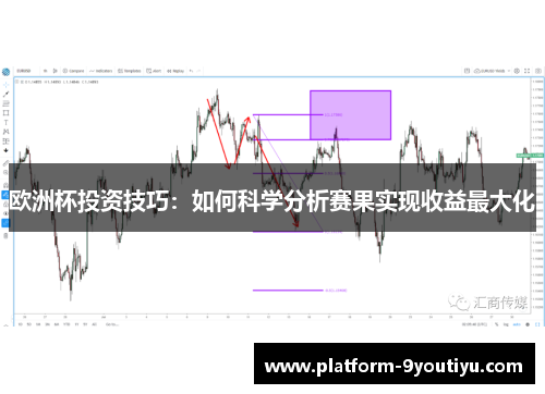欧洲杯投资技巧：如何科学分析赛果实现收益最大化