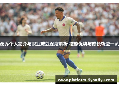 桑乔个人简介与职业成就深度解析 技能优势与成长轨迹一览