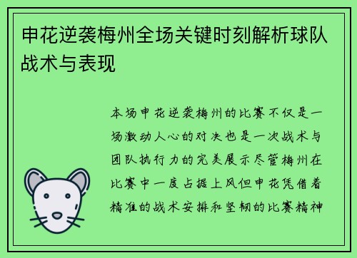 申花逆袭梅州全场关键时刻解析球队战术与表现