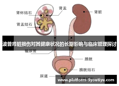 波普肾脏损伤对其健康状况的长期影响与临床管理探讨