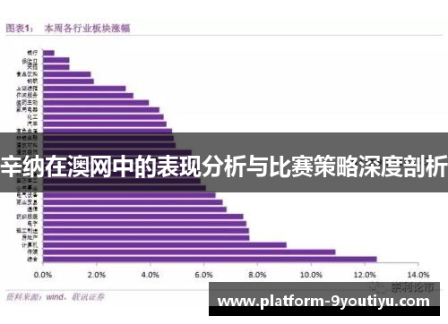辛纳在澳网中的表现分析与比赛策略深度剖析