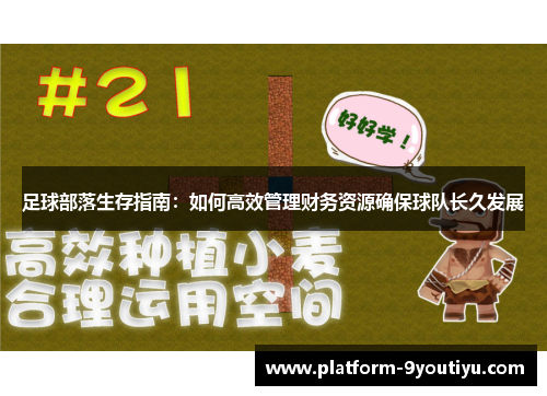 足球部落生存指南：如何高效管理财务资源确保球队长久发展
